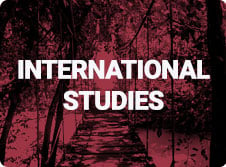 international studies 3 icon
