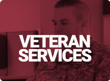 vet services 3 column