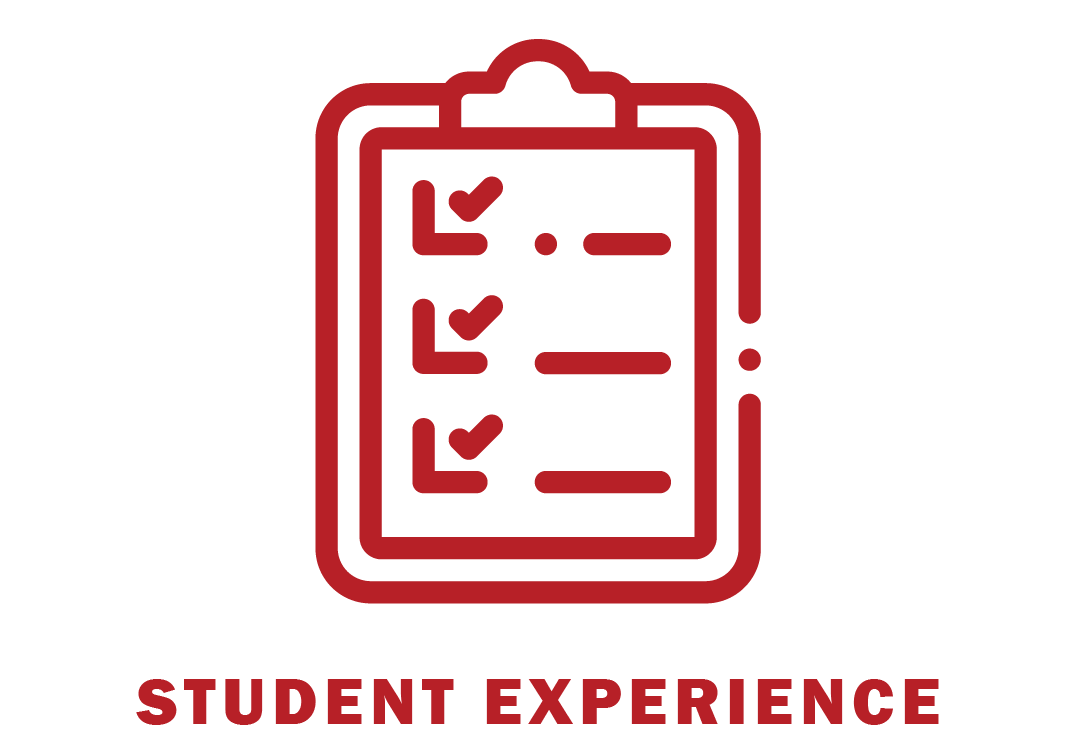 The Student Experience